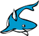 The CSShark answers questions